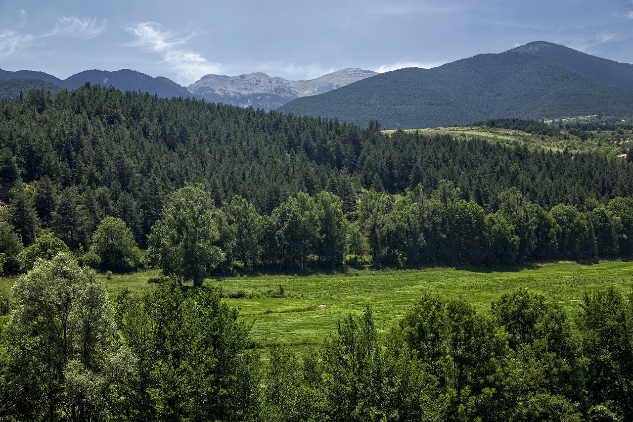 ANDORA